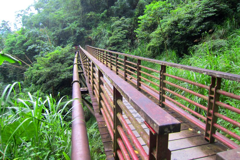 Rusty Bridge in Forest — Green