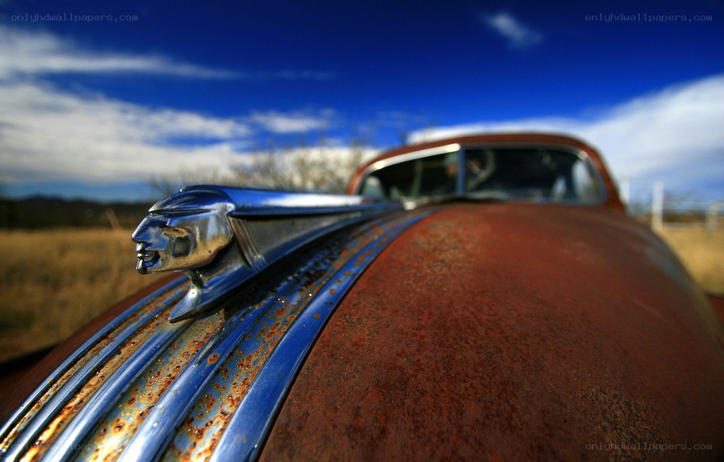 Rusty car hood with chrome ornament