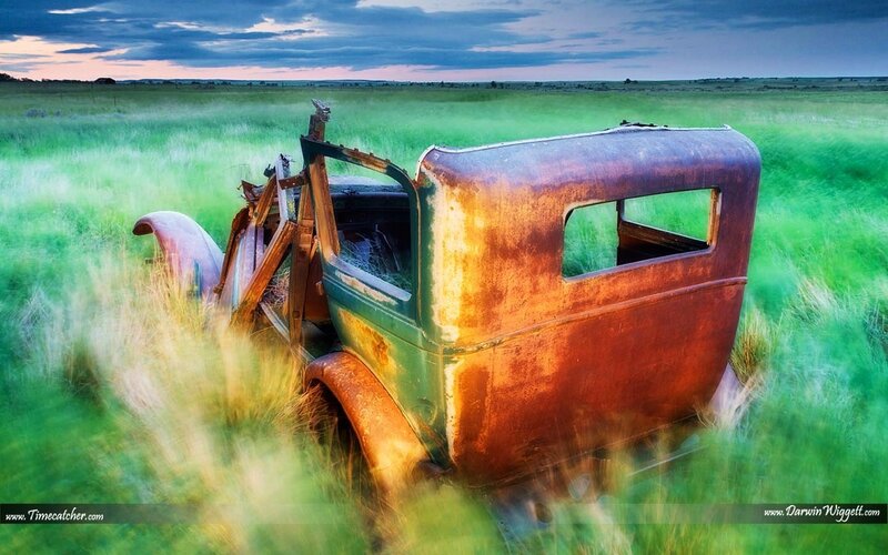 Rusty car in a green field