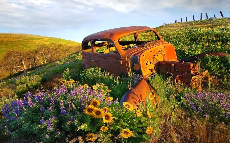 Rusty Car in Field