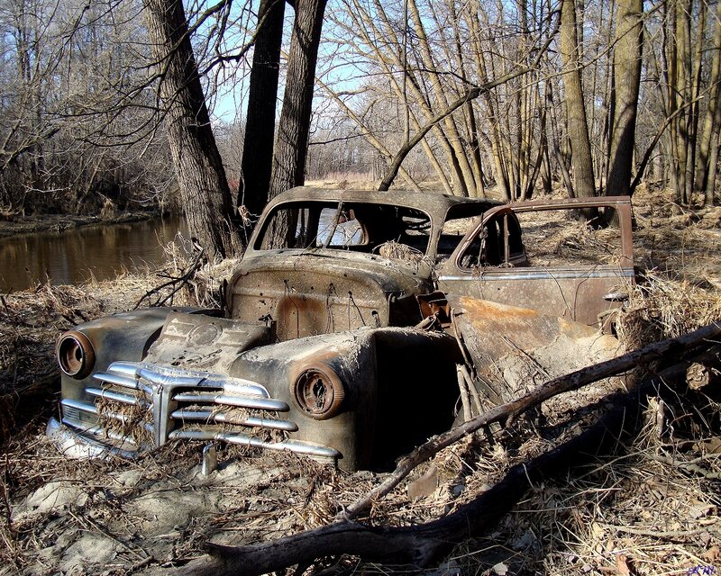 Rusty car in forest