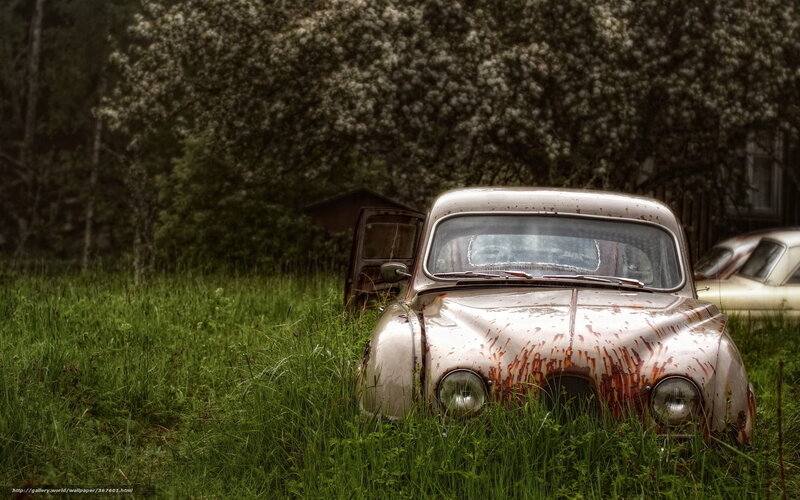 Rusty Car in Grass — Green
