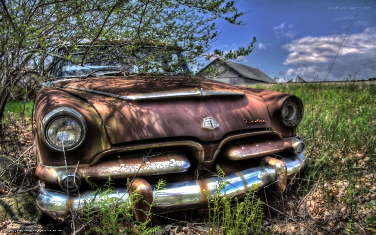 Rusty car in overgrown field