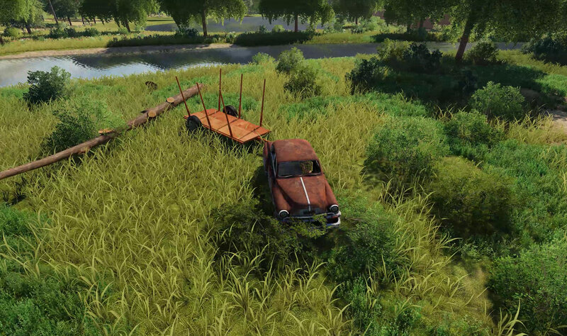 Rusty Car in Tall Grass