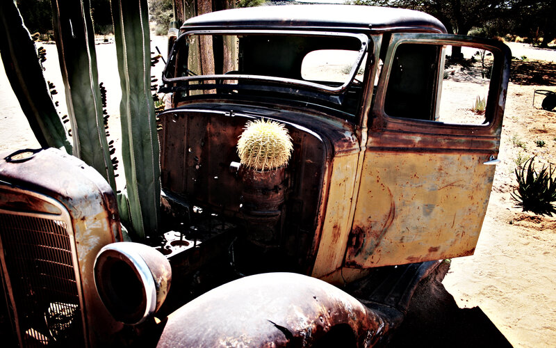 Rusty car with cactus