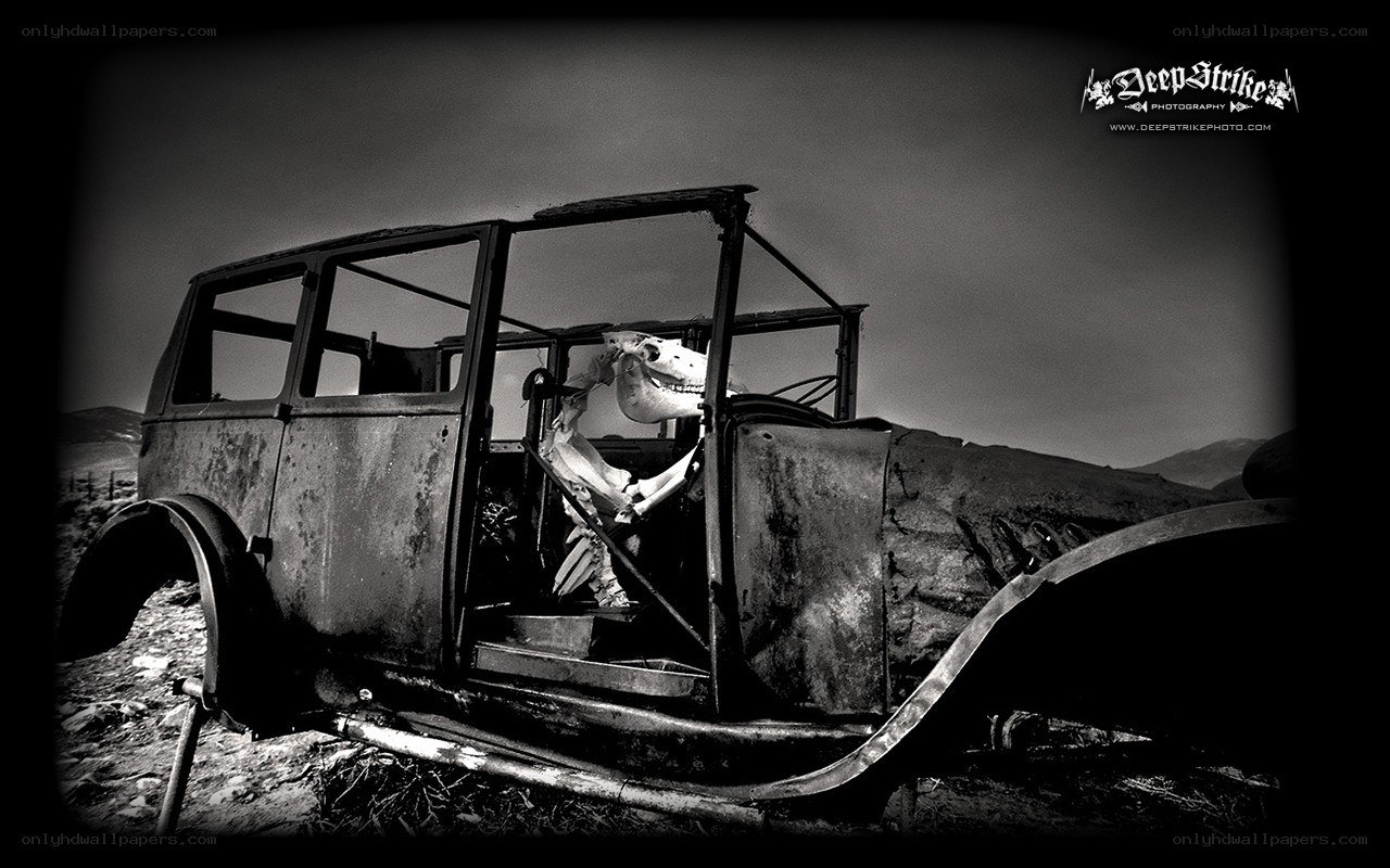 Rusty car with skull inside