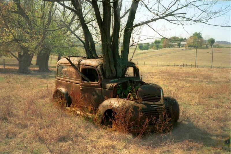 Rusty Car with Tree