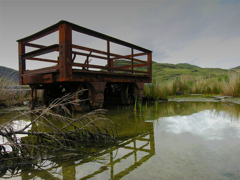 Rusty cart in a marsh