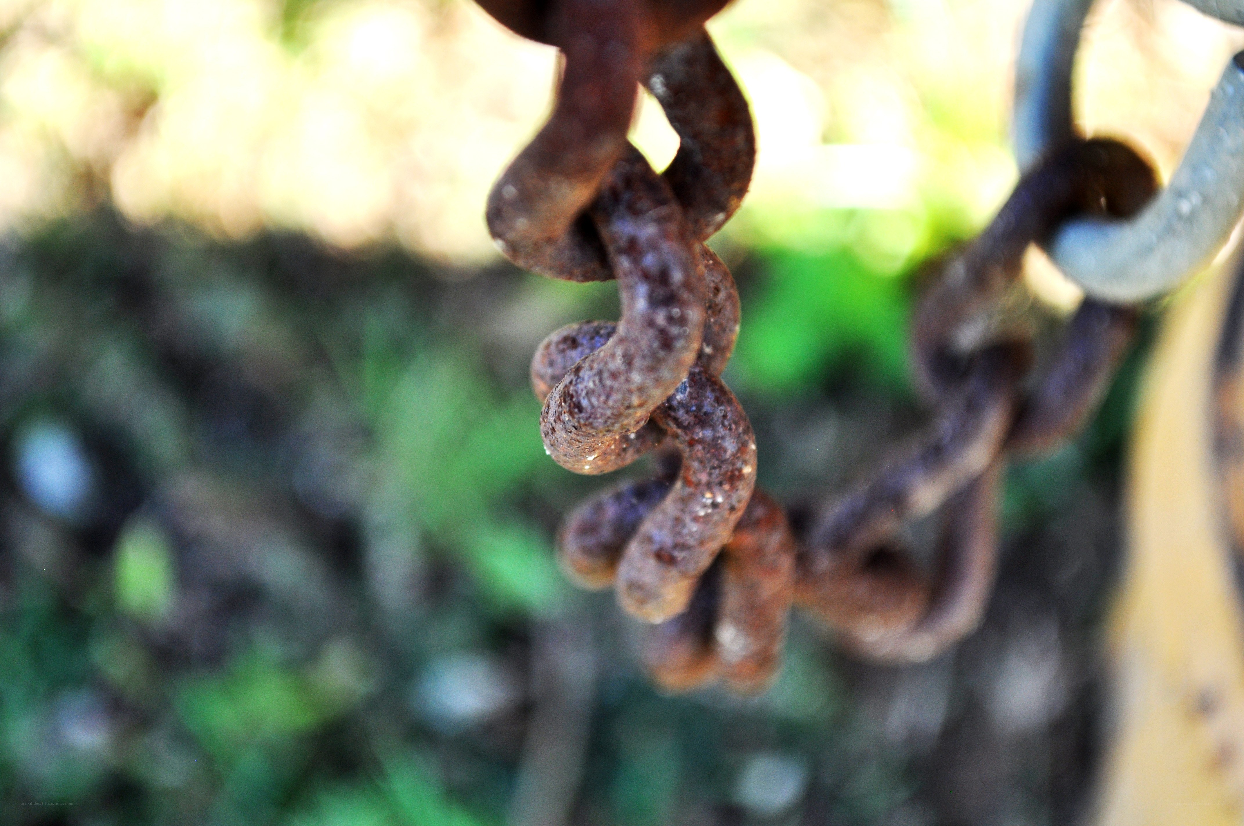 rusty chain in nature