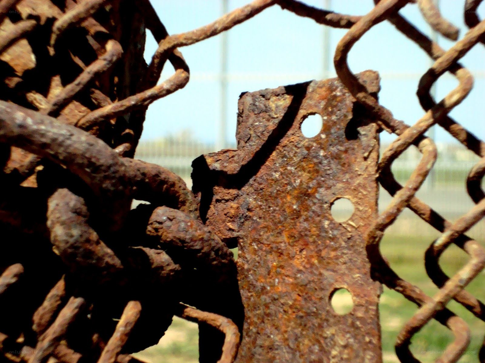 Rusty chain-link fence detail
