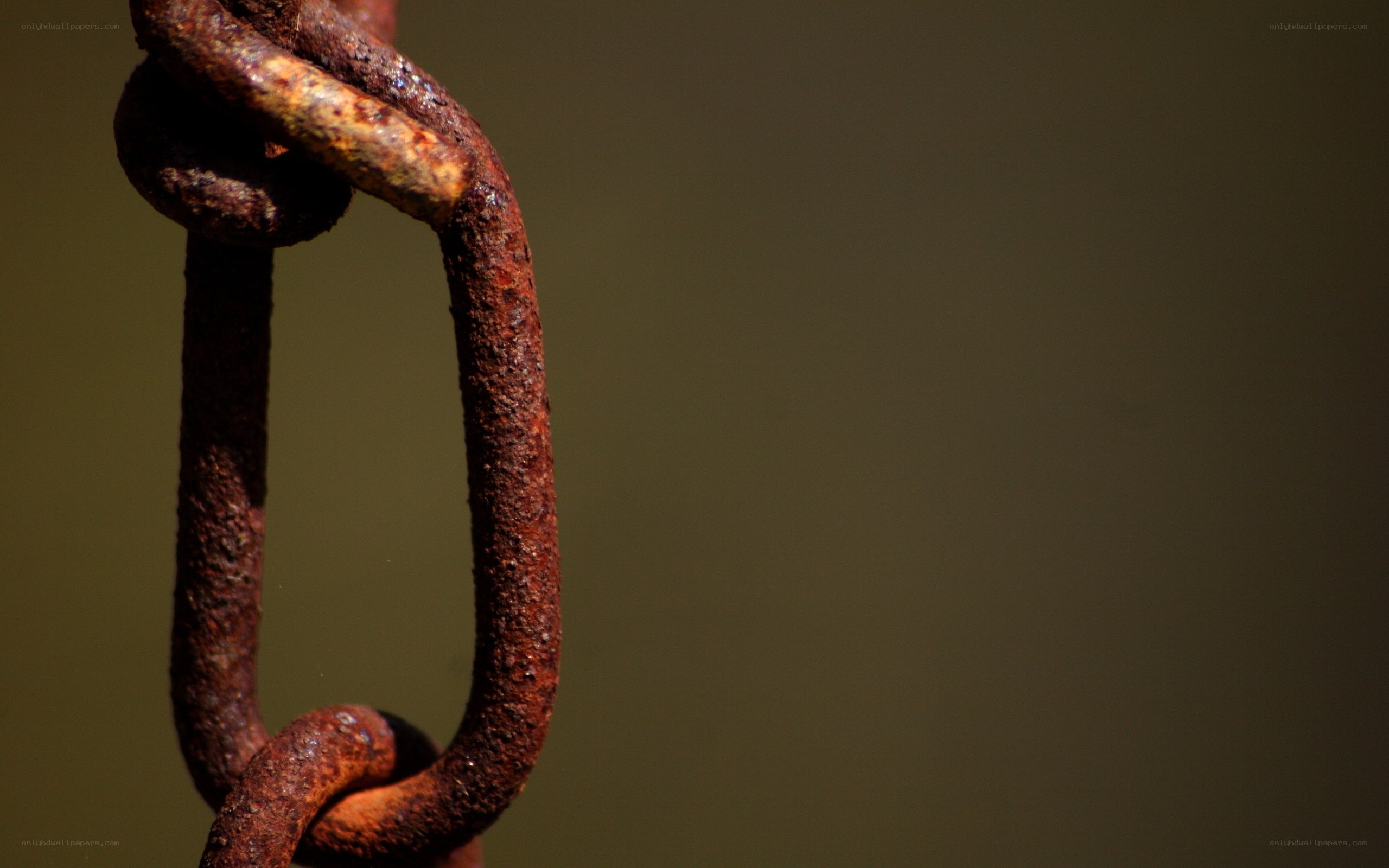 rusty chain link