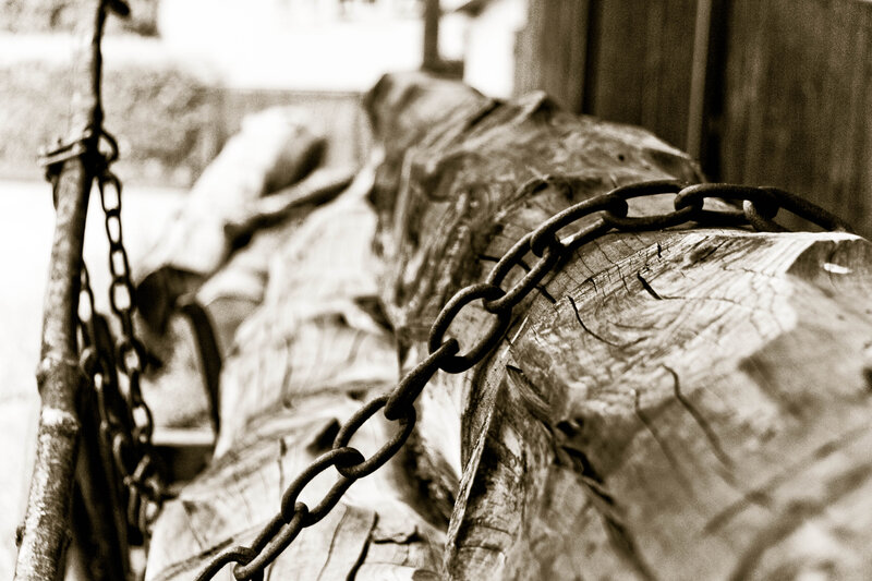 Rusty Chain on Log