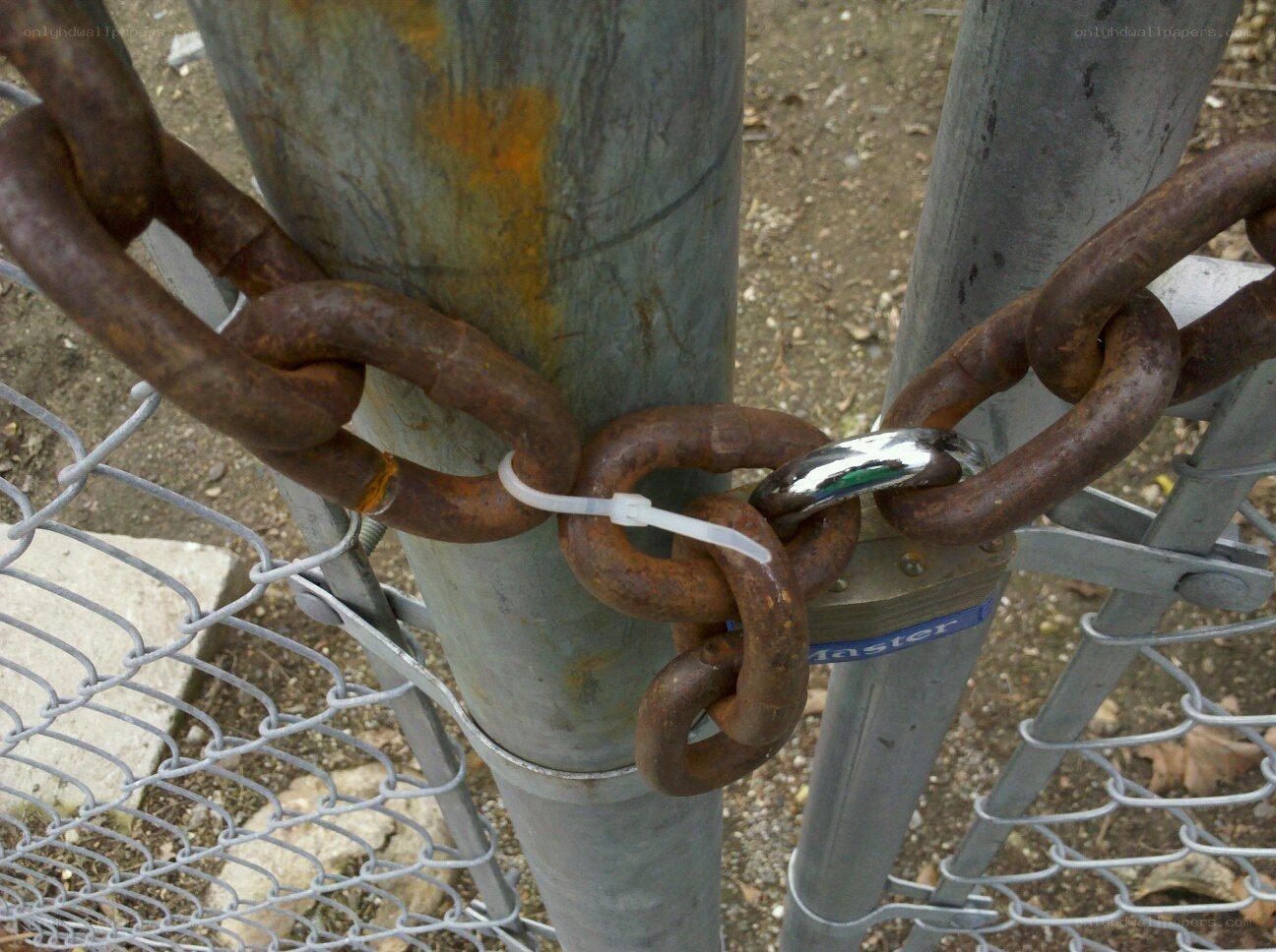 Rusty chain on metal fence