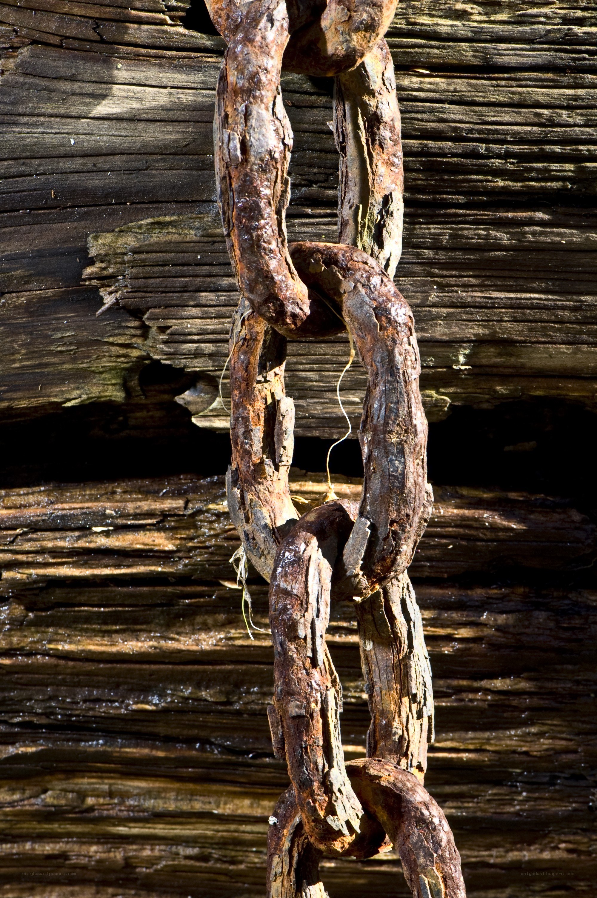 Rusty chain on weathered wood