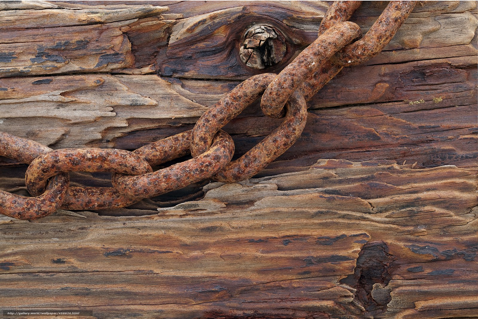 Rusty chain on weathered wood