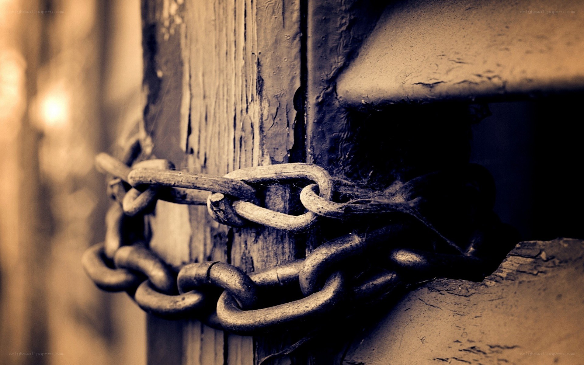 rusty chain on wooden door