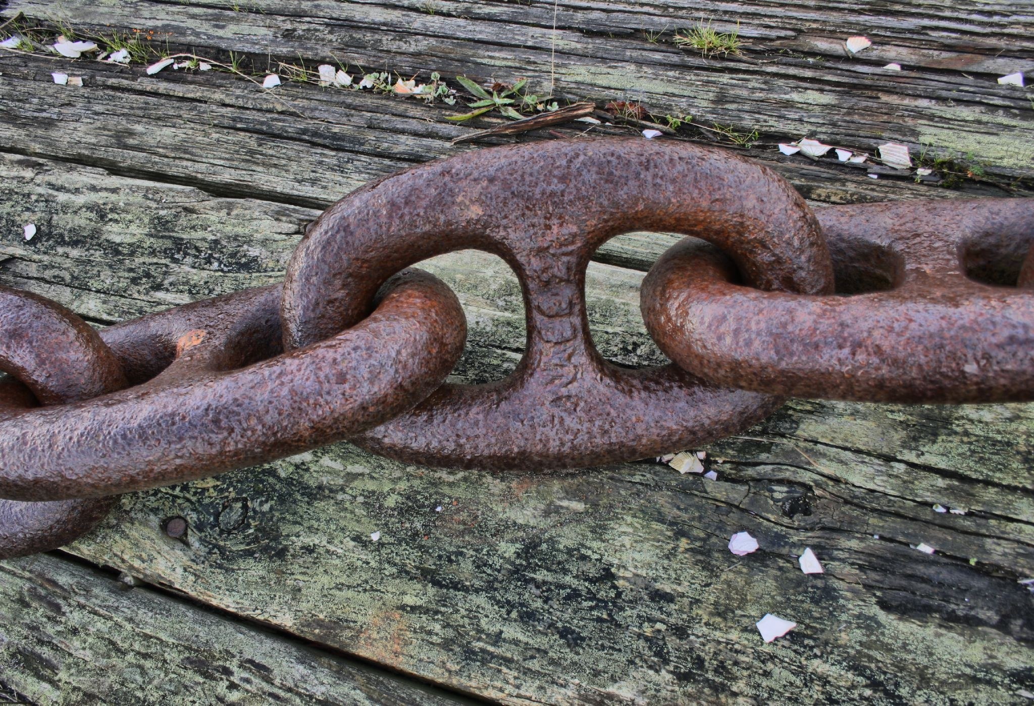 Rusty chain on wooden planks