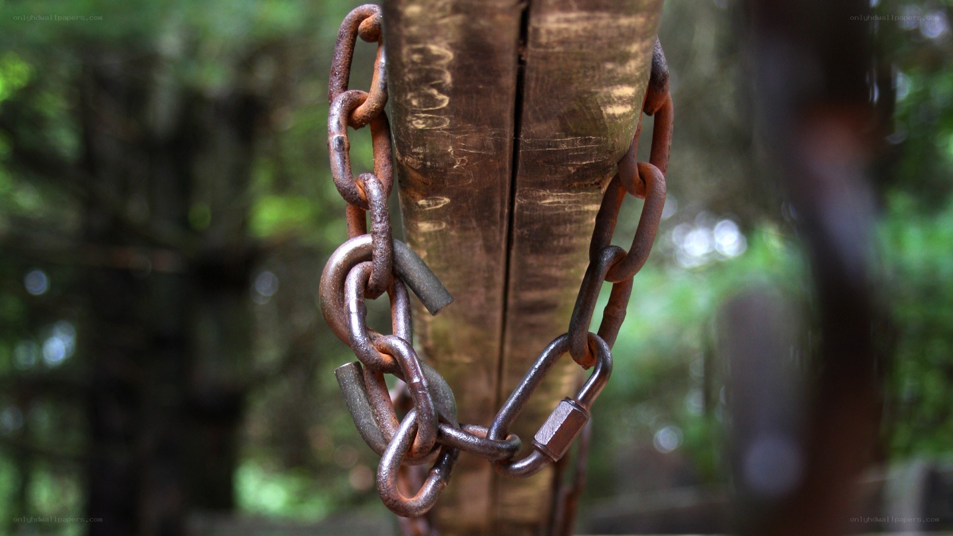 Rusty chain on wooden post