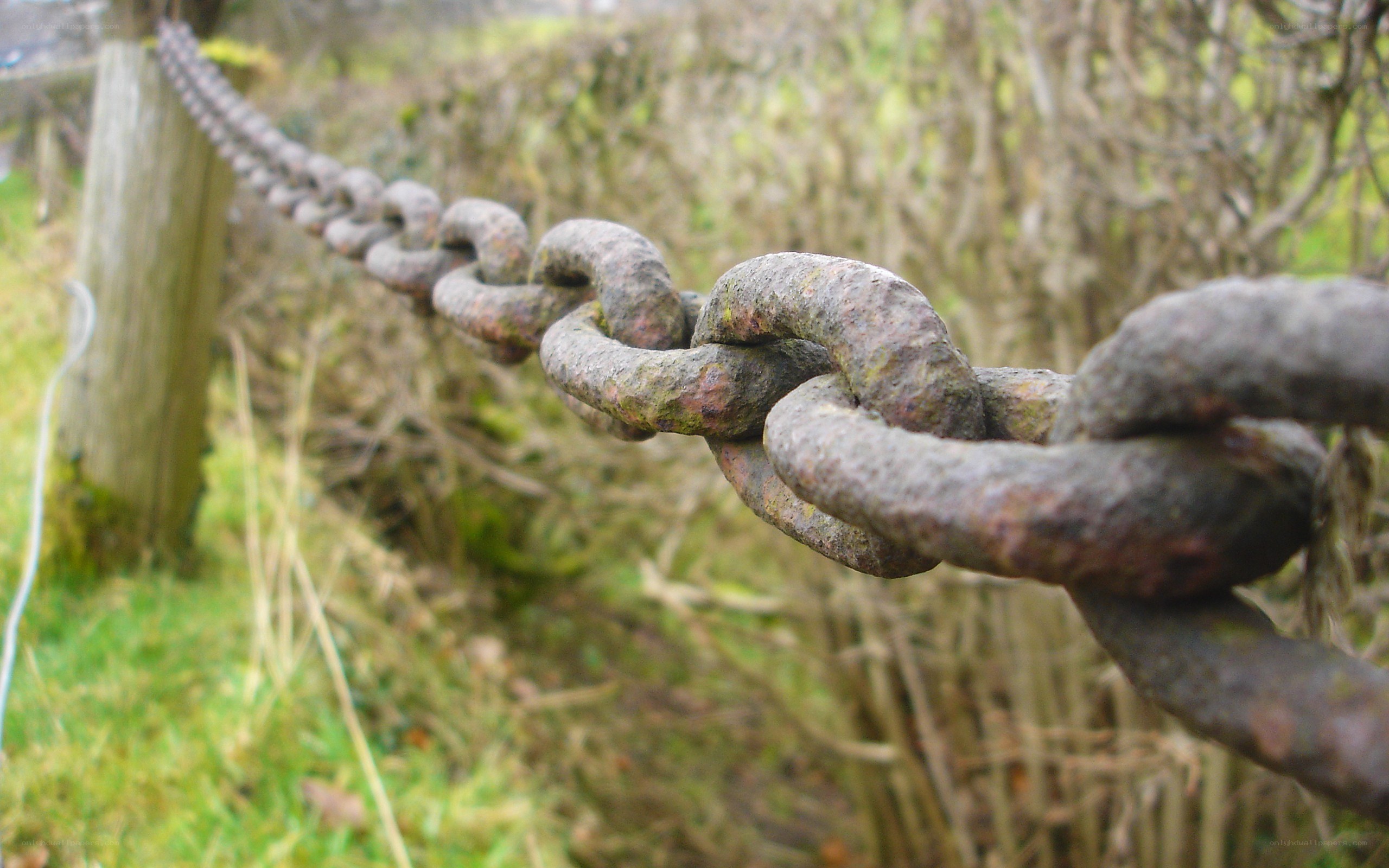 rusty chain on wooden post