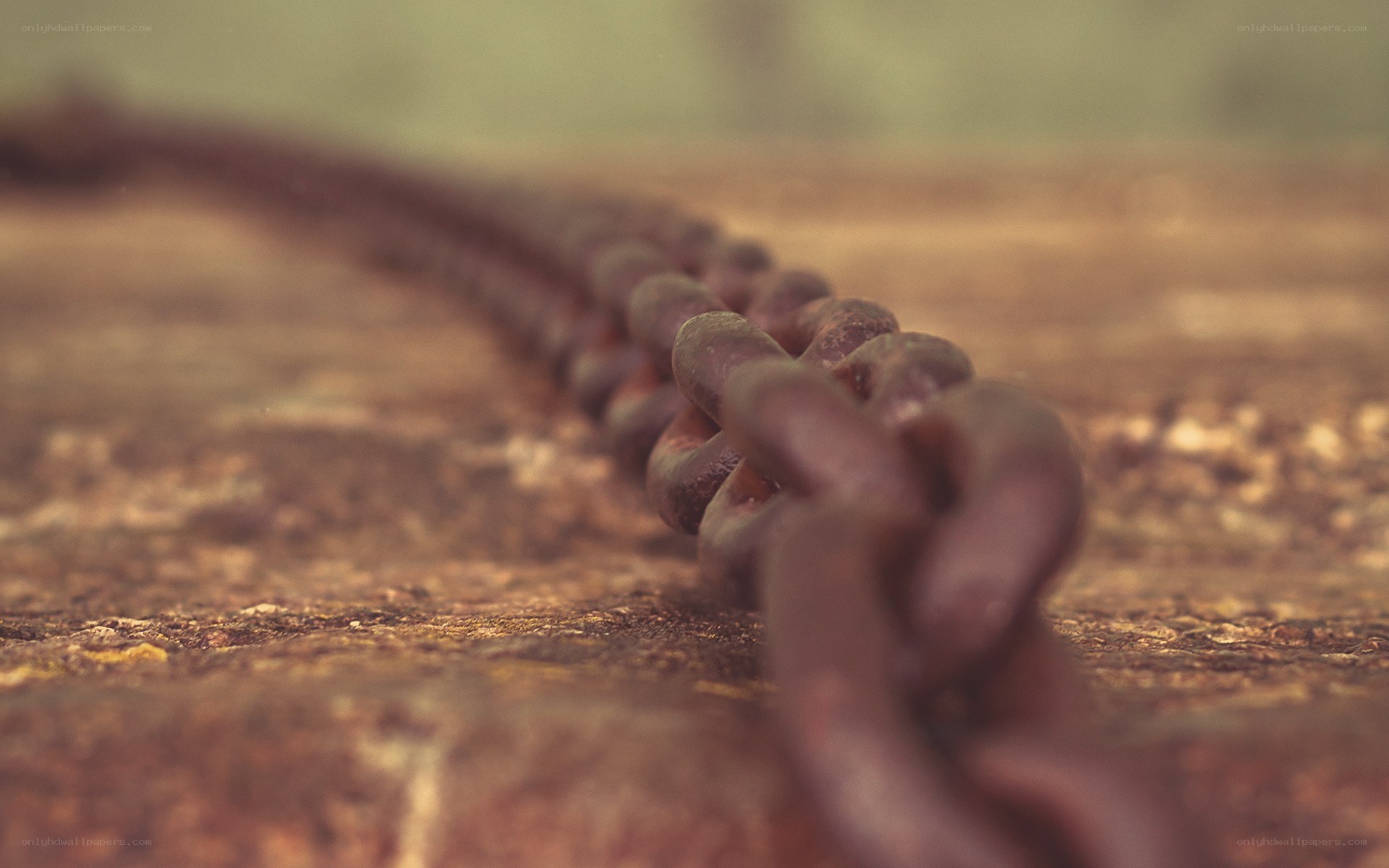 rusty chain on wooden surface