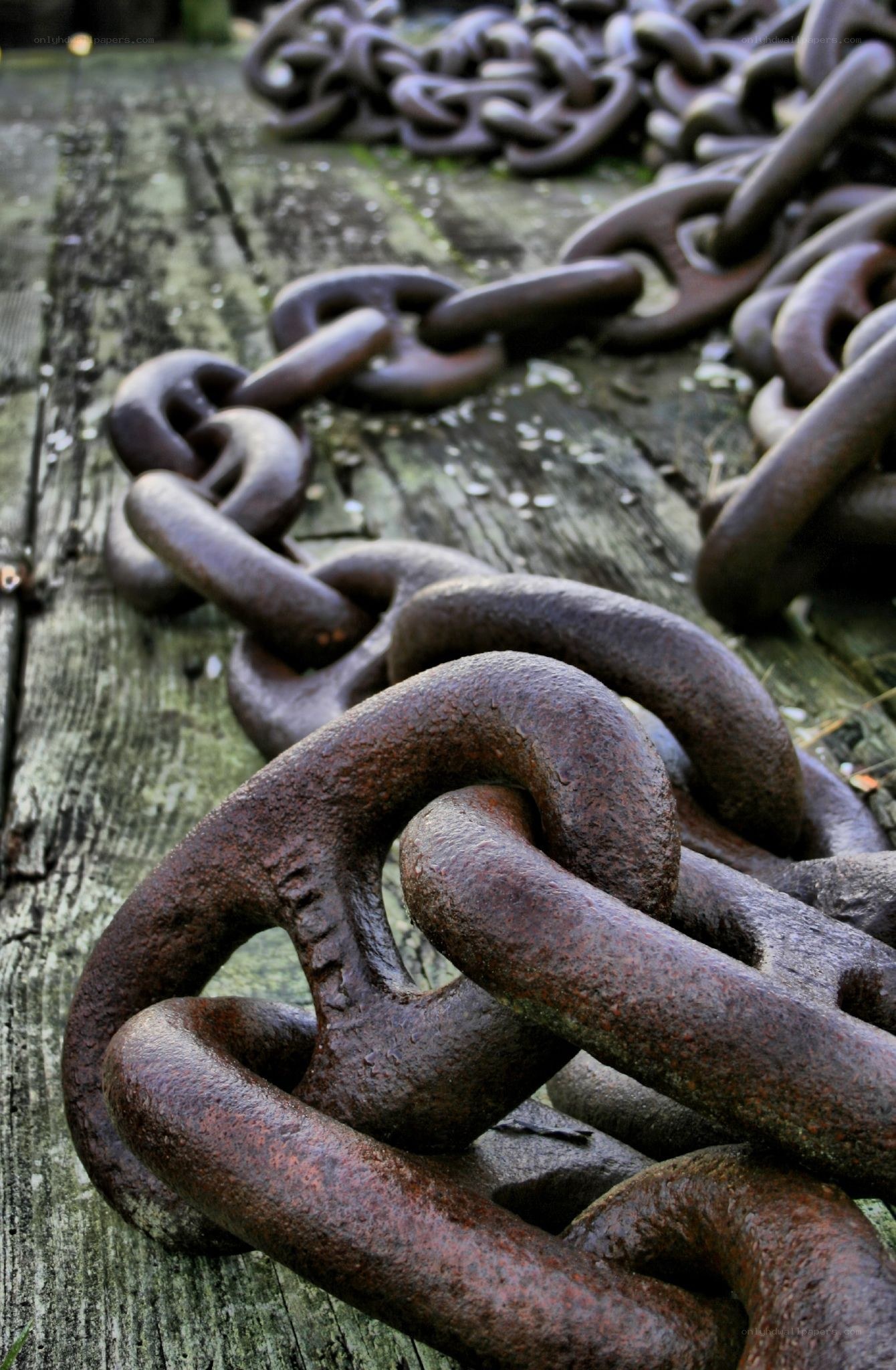 rusty chain on wooden surface