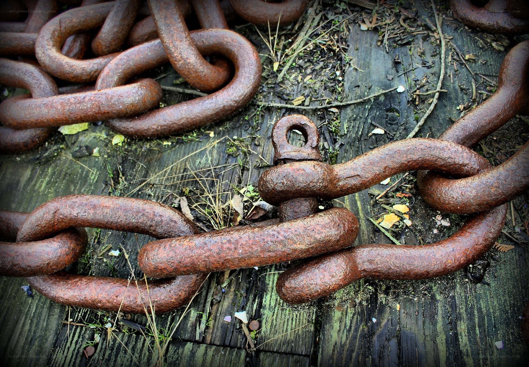 rusty chain on wooden surface