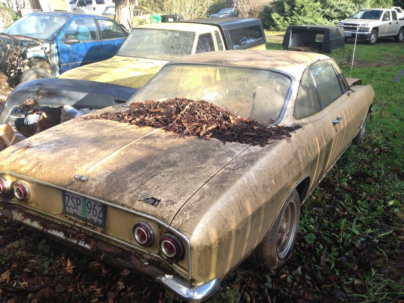 Rusty Classic Car — Brown, Overgrown
