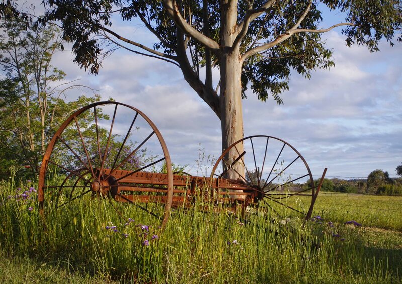 Rusty Farm Equipment — Green, Serene