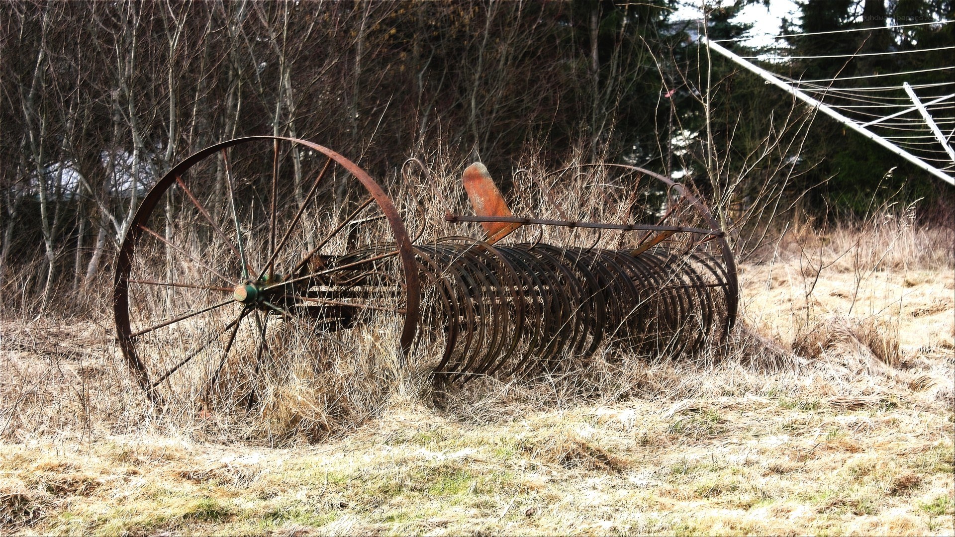 Rusty farm equipment in a field