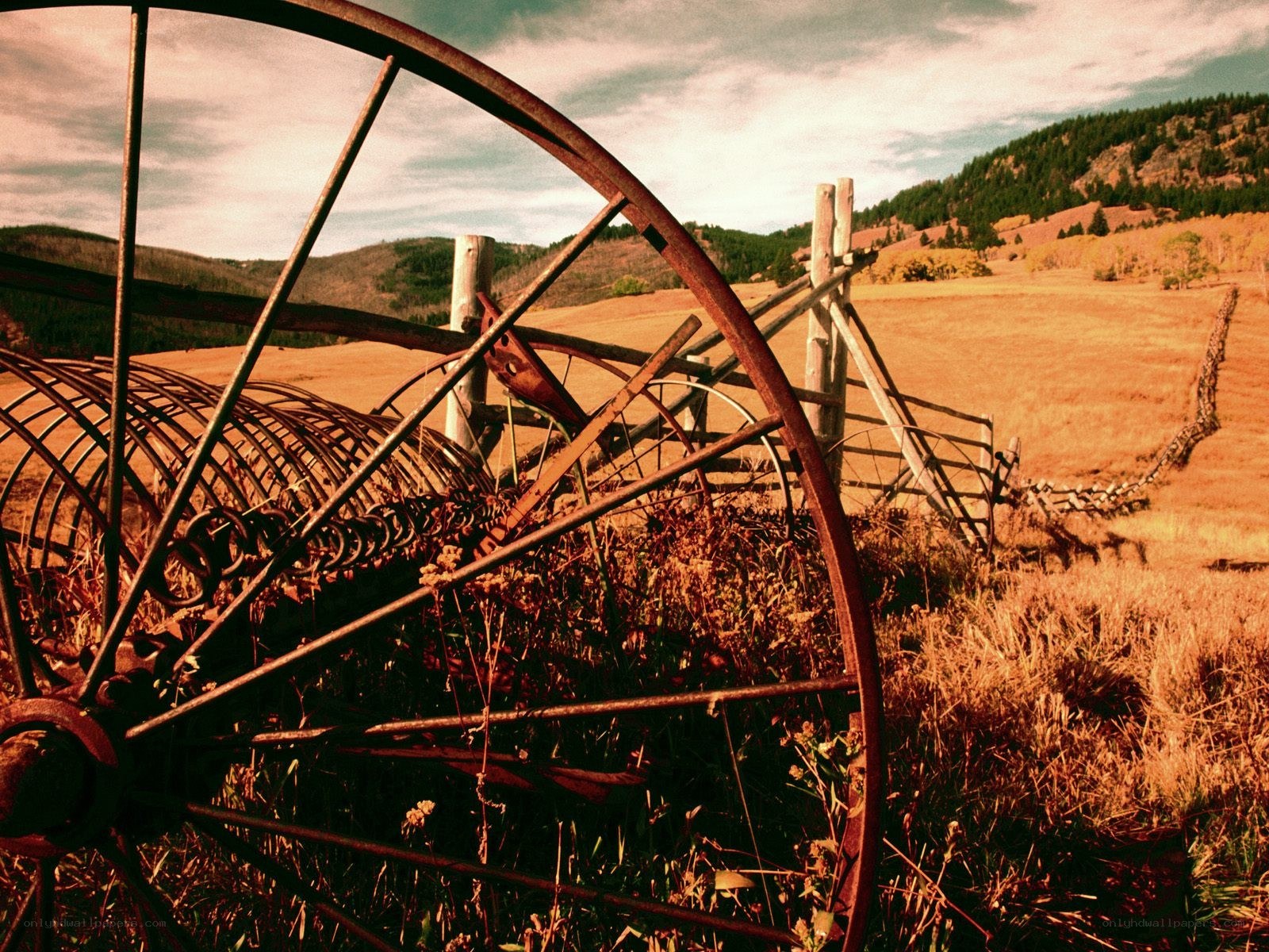Rusty farm equipment in a field