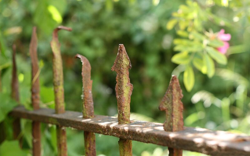Rusty fence in a garden