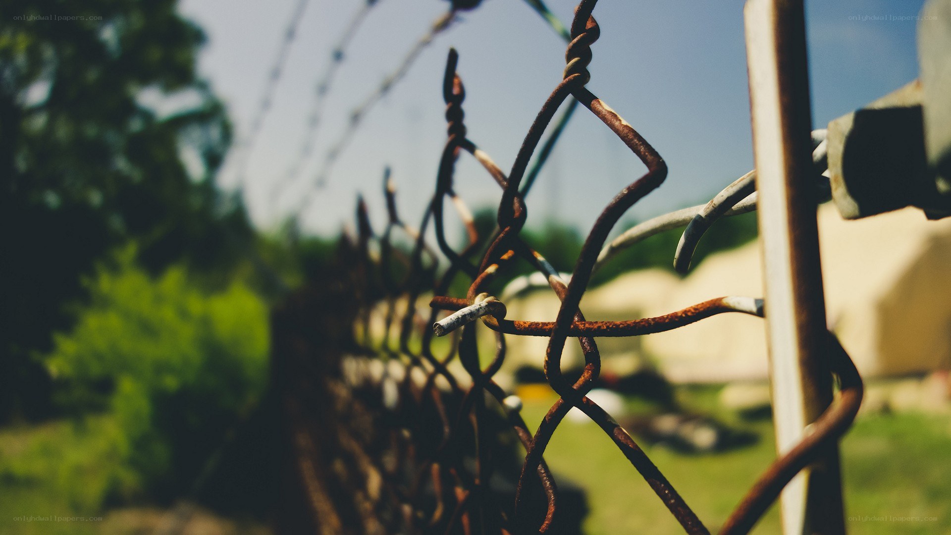 Rusty fence in a sunny yard