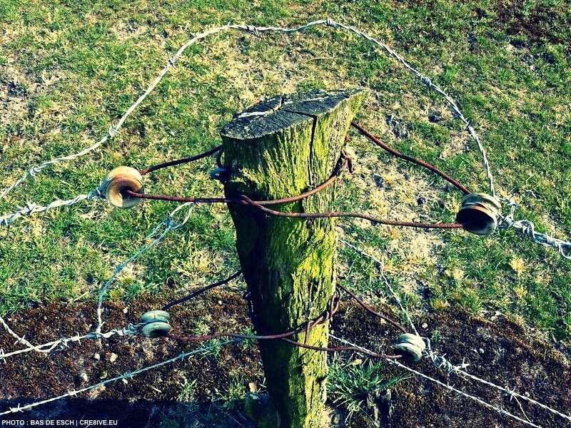Rusty fence post in a field