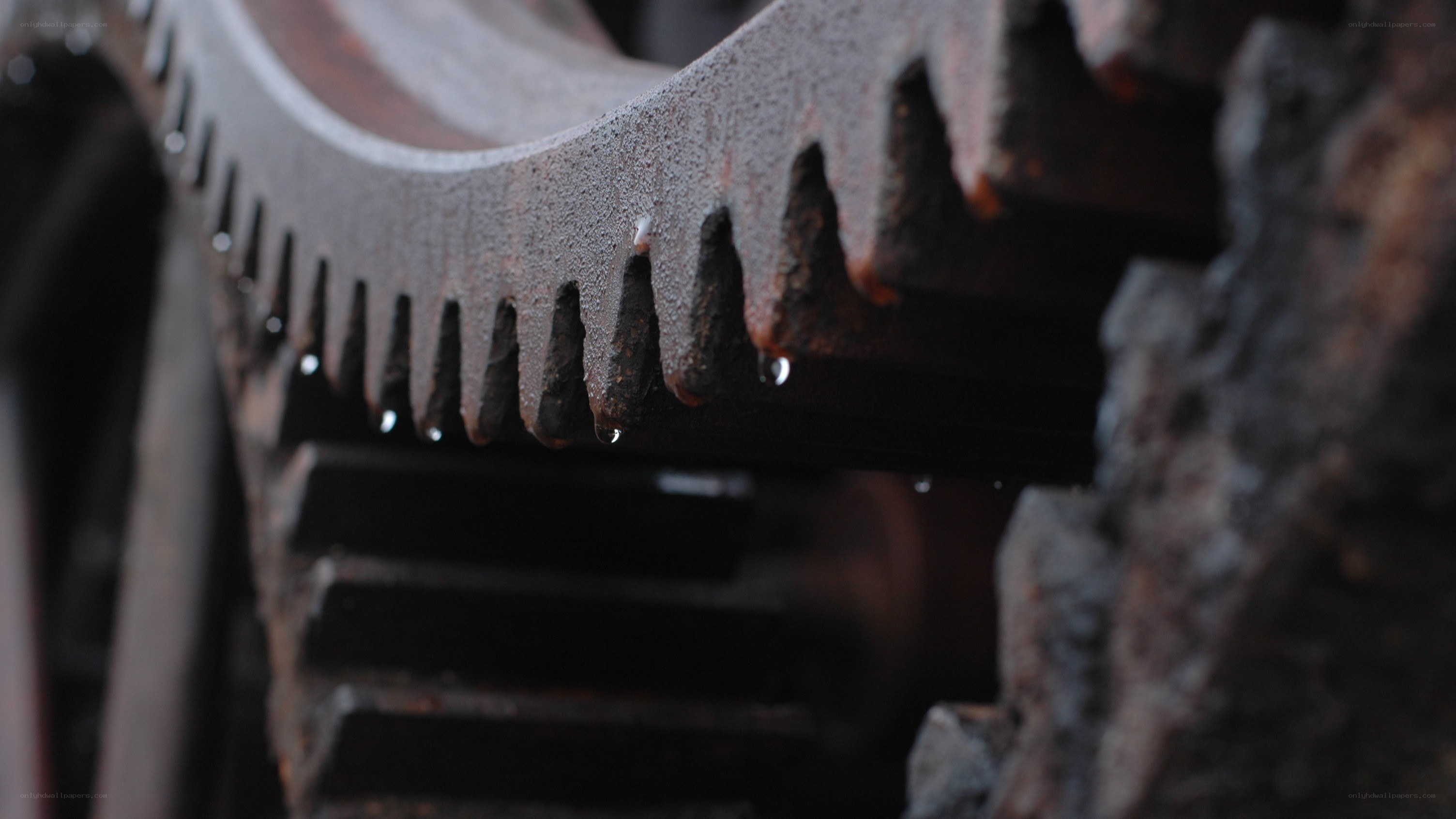 rusty gear with water droplets