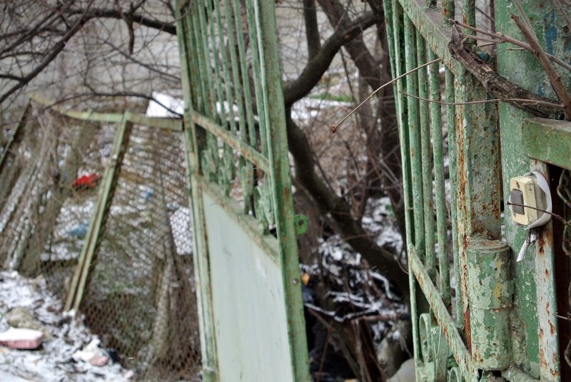 Rusty green gate in winter