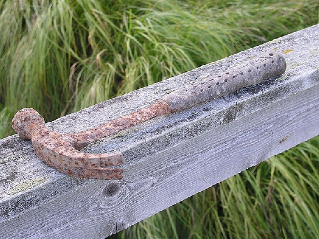 Rusty hammer on wooden beam