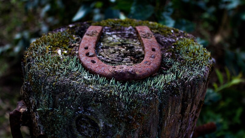 Rusty Horseshoe on Stump — Green