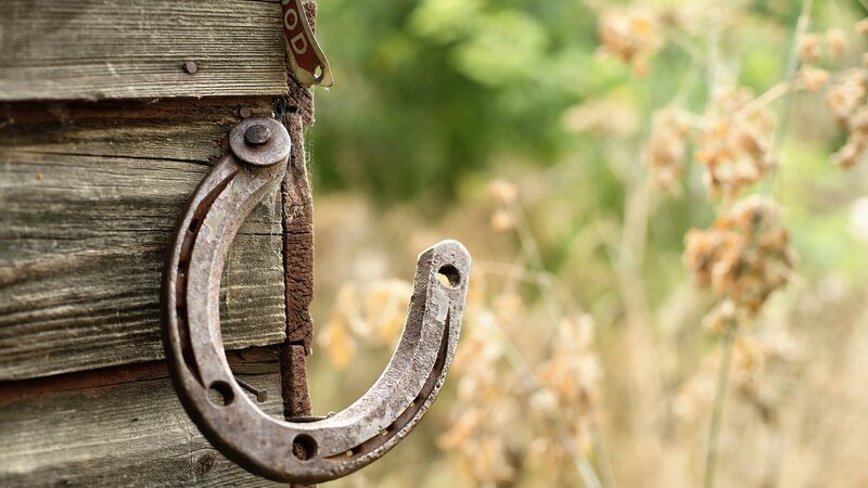 Rusty Horseshoe on Wood