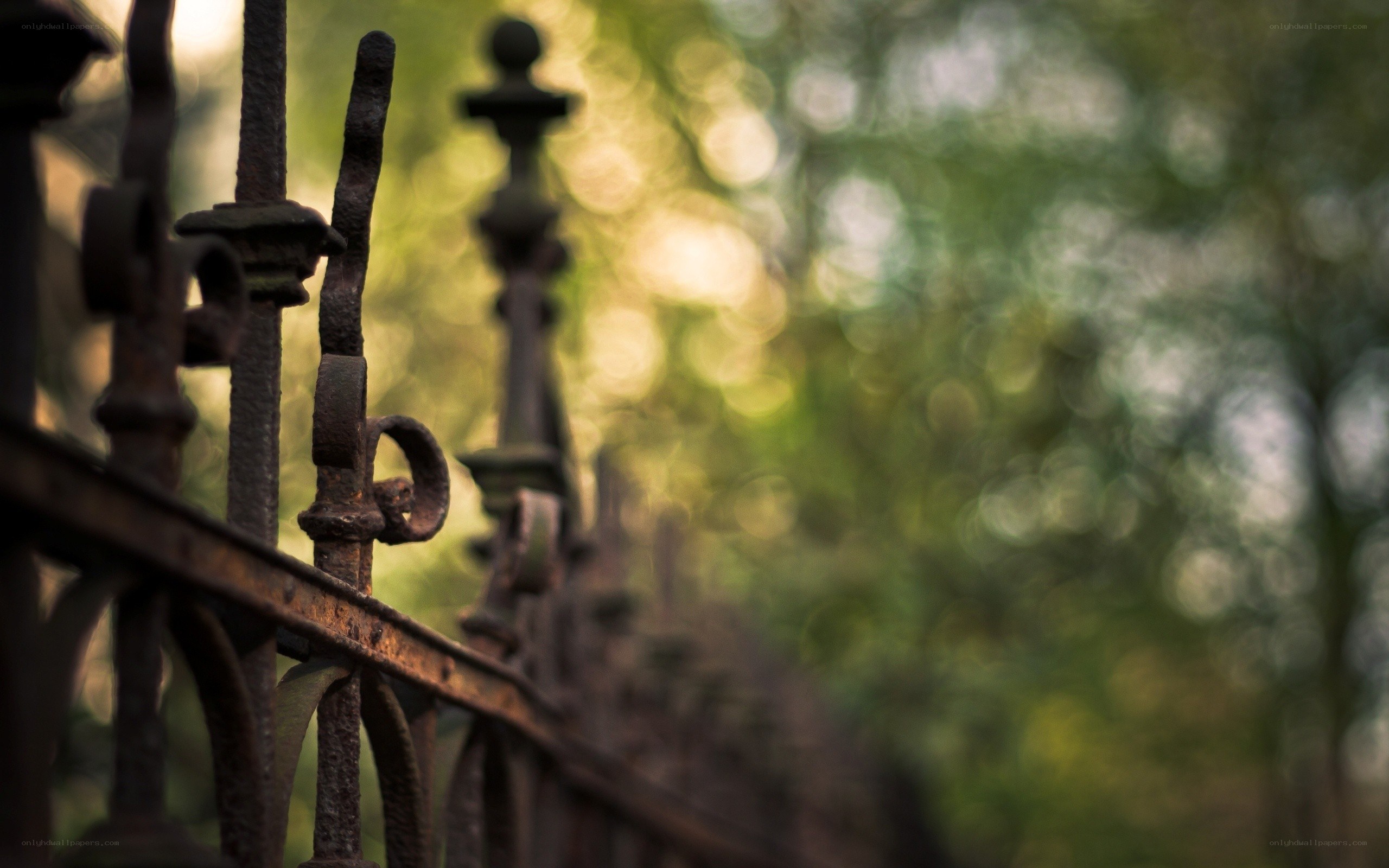 rusty iron fence in park