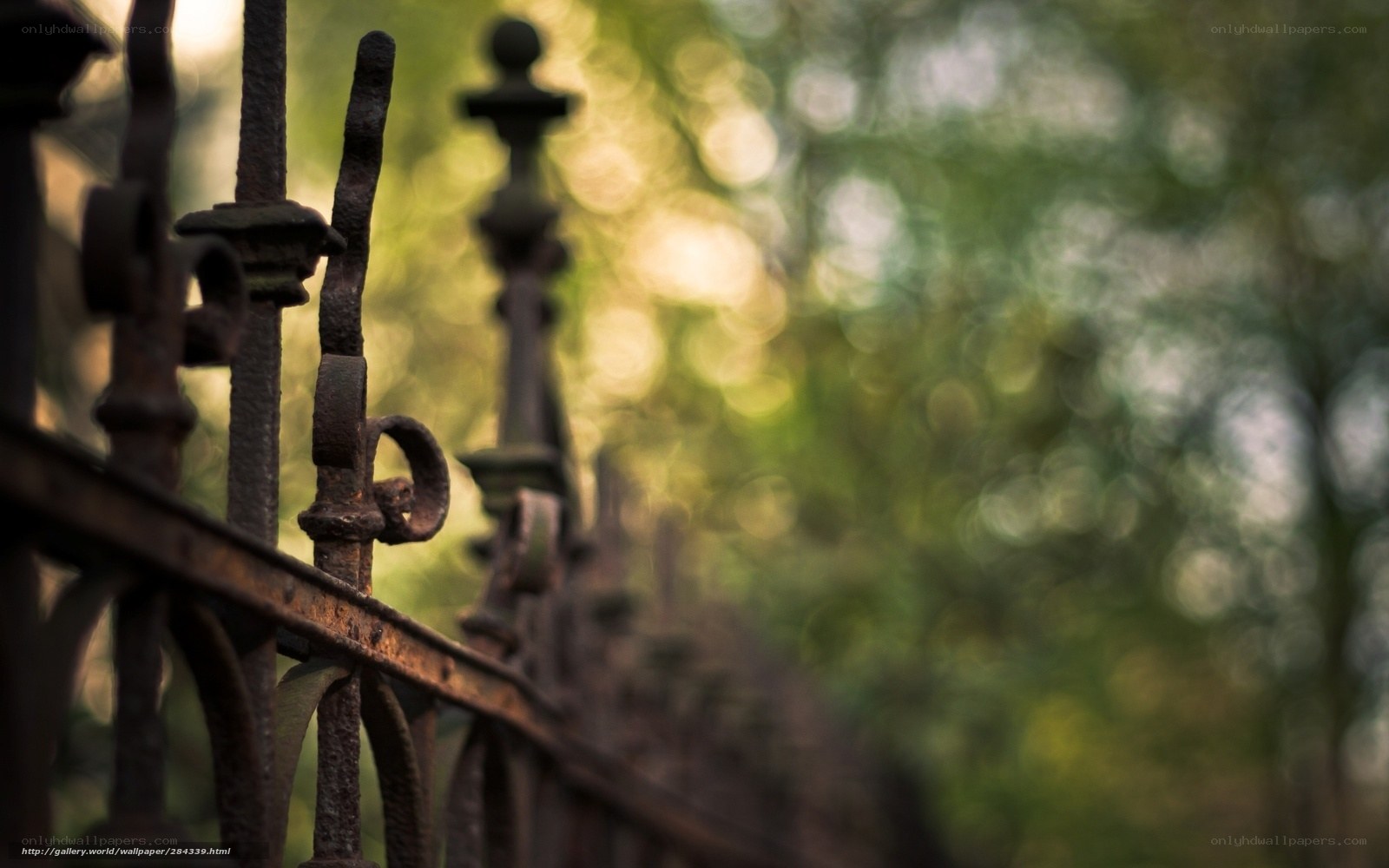 rusty iron fence in park