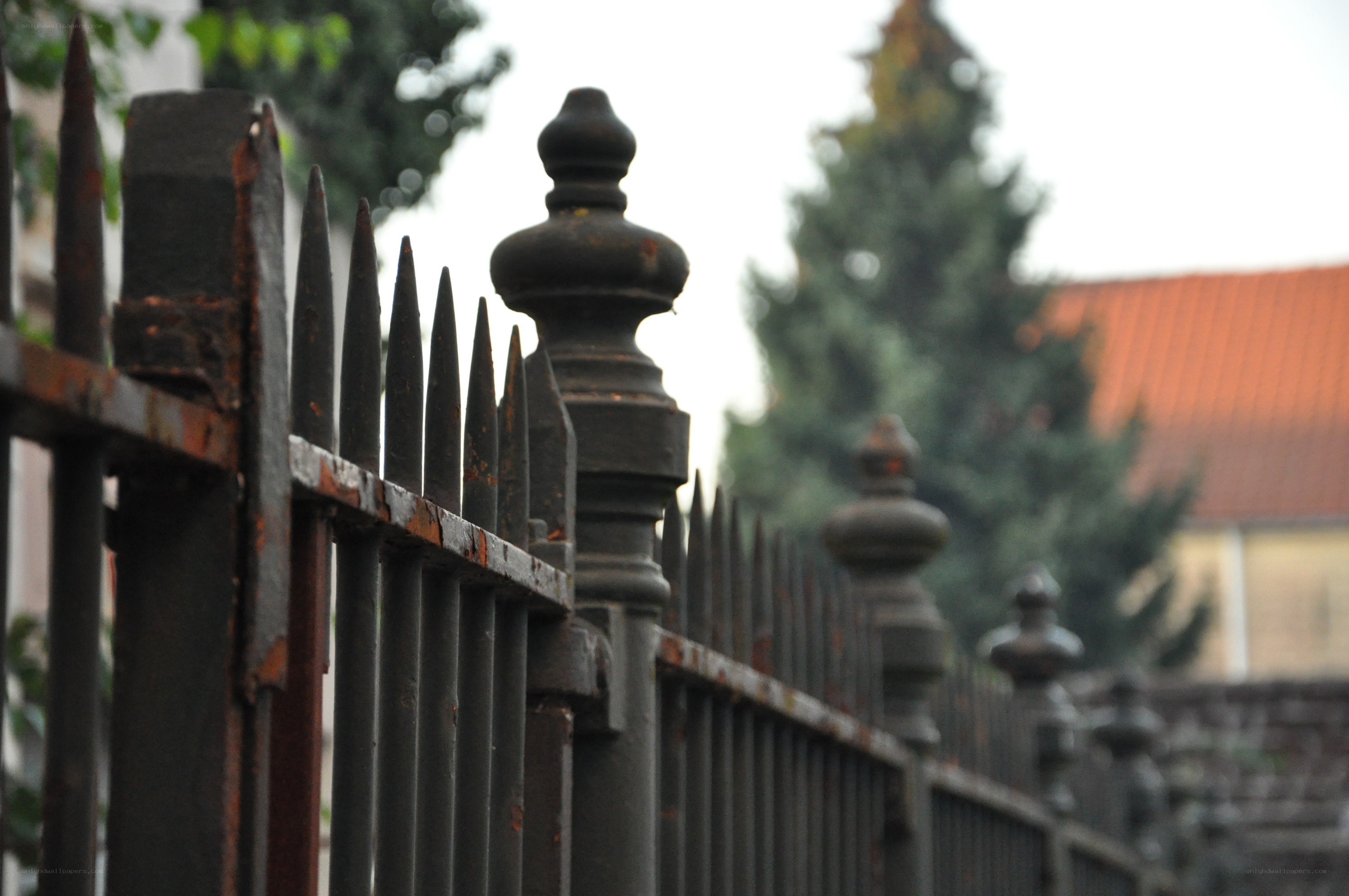 rusty iron fence with spikes