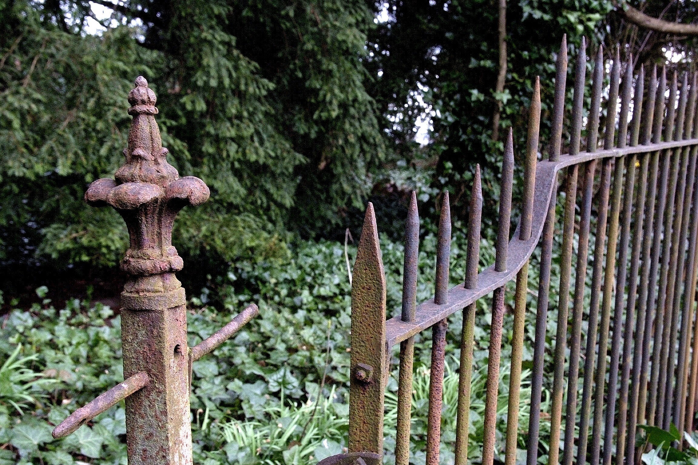 rusty iron gate in garden