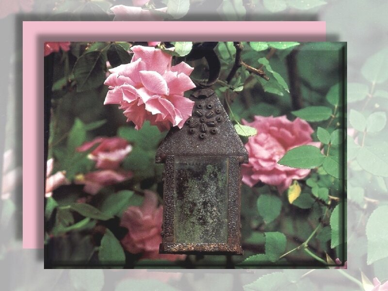 Rusty Lantern with Roses