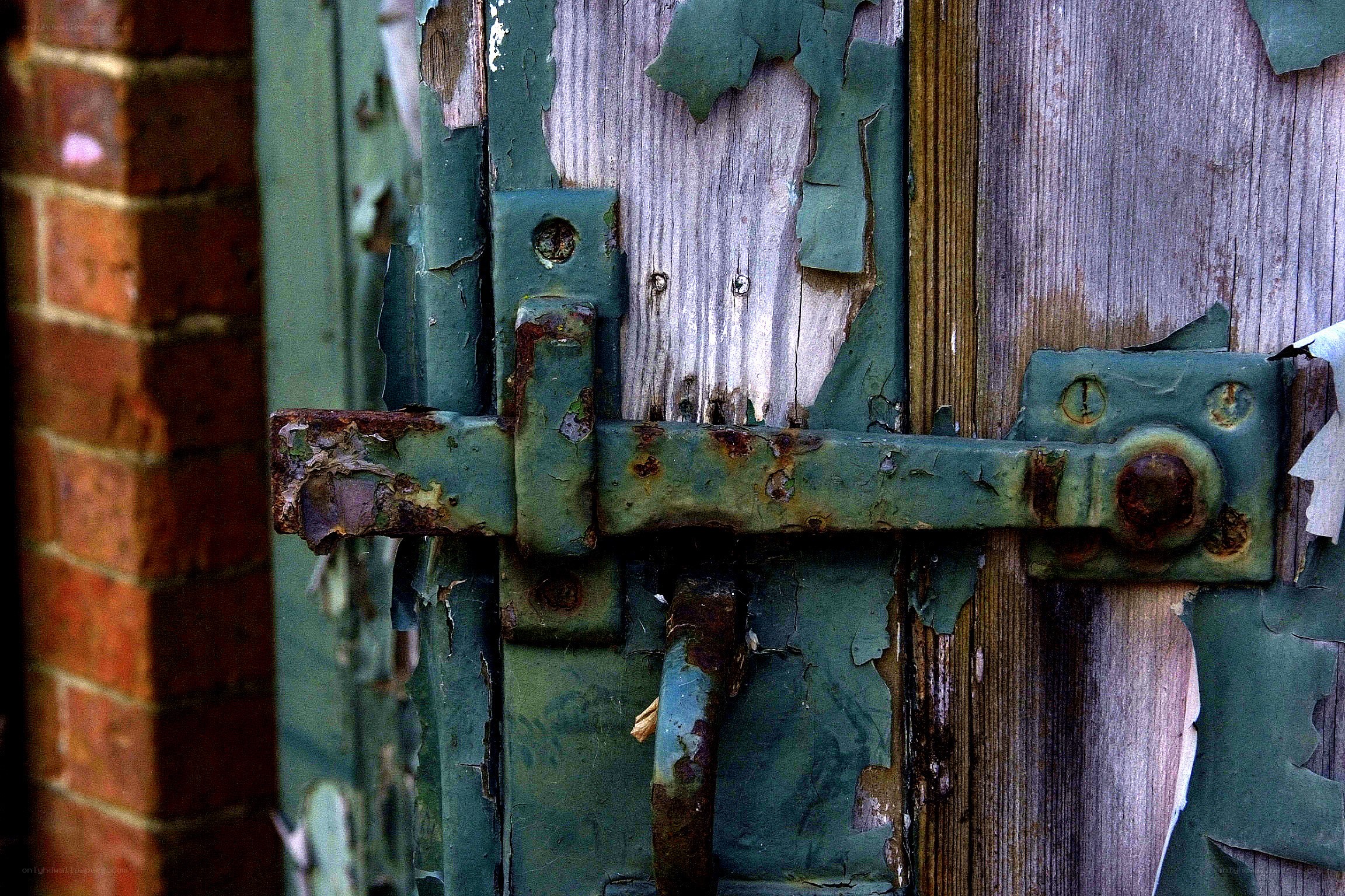Rusty latch on weathered door
