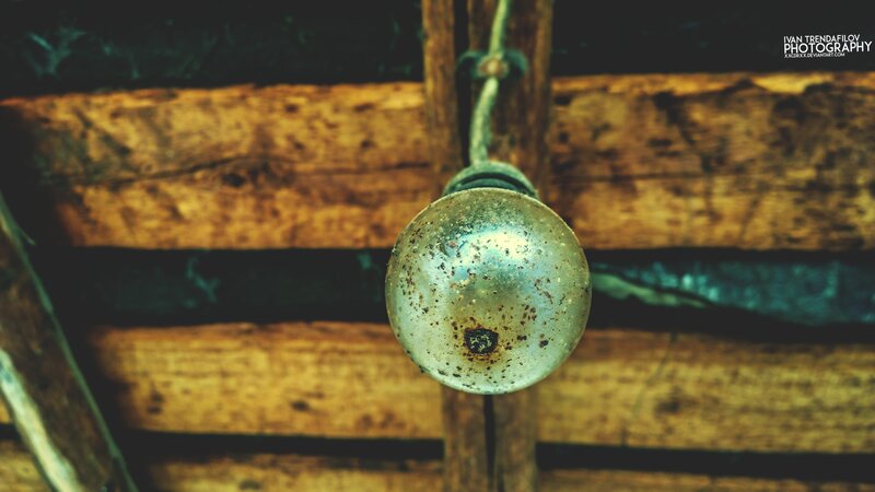 Rusty Light Bulb