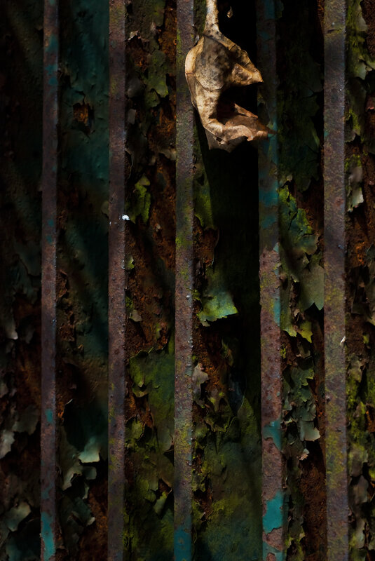 rusty metal bars with leaf
