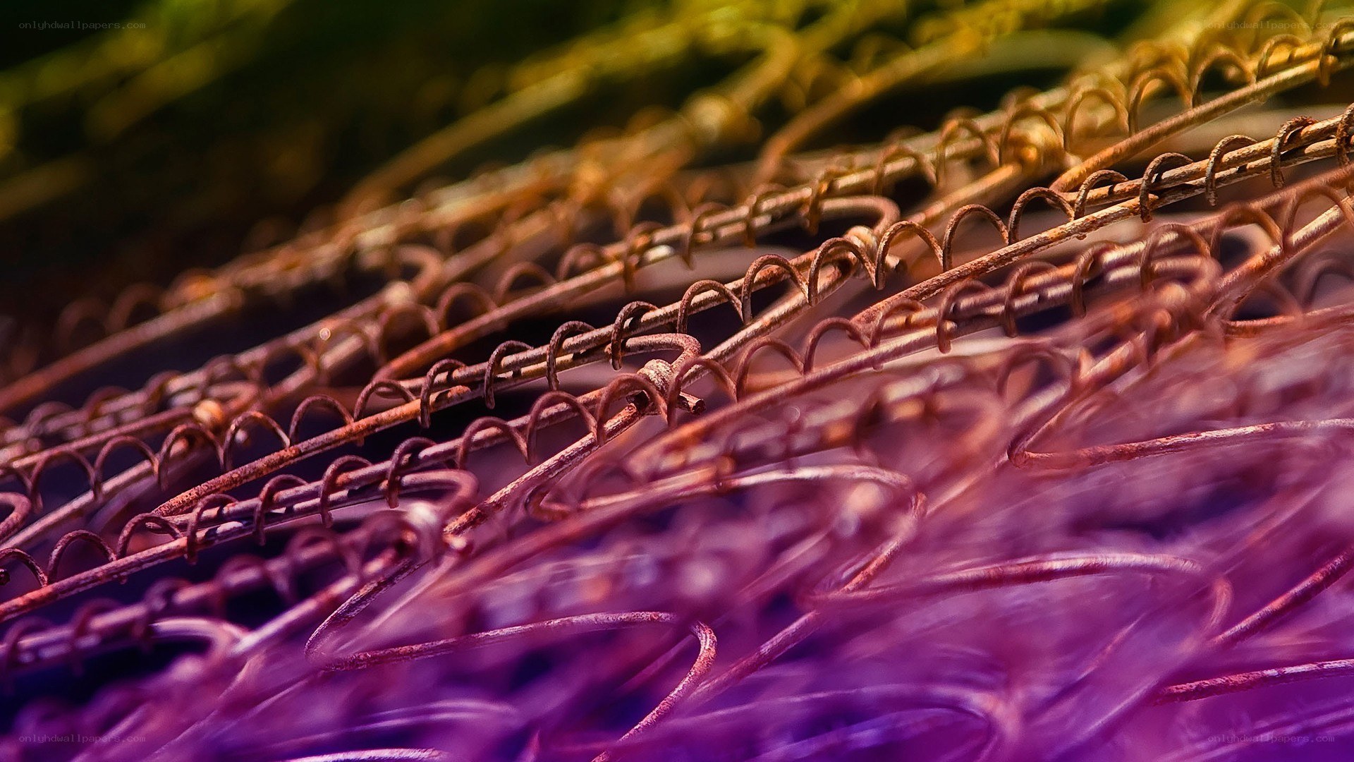 Rusty metal springs