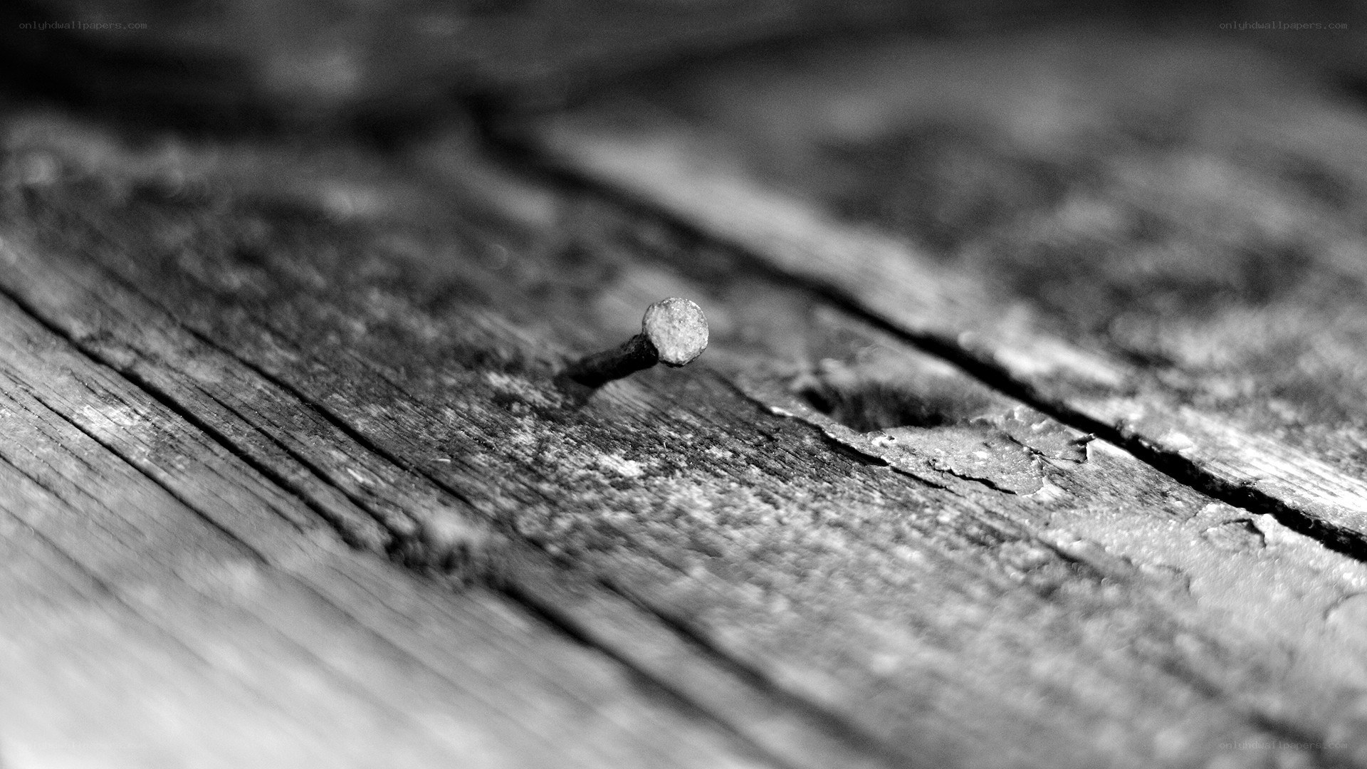 rusty nail in old wood