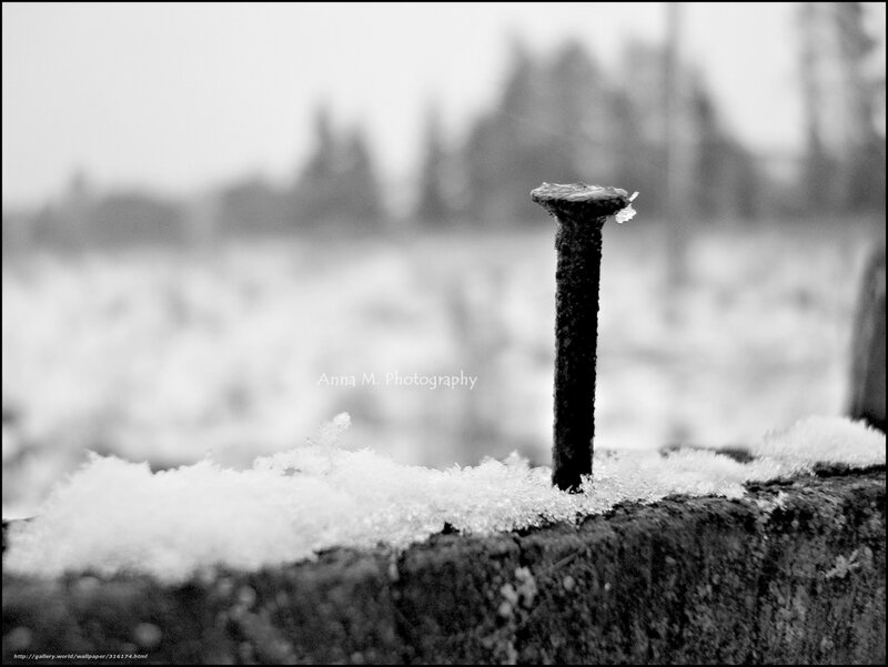 Rusty nail in snow
