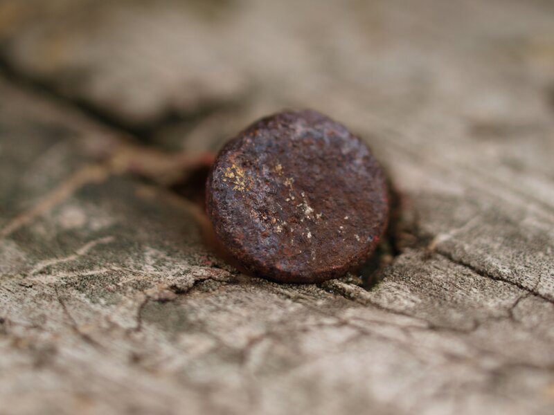 Rusty nail in weathered wood